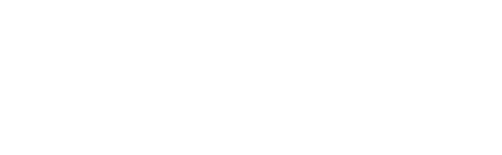 NexAI Logo